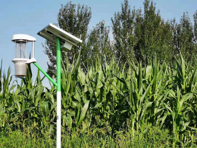 致敬耕耘者！「盤(pán)點(diǎn)2021」農(nóng)業(yè)科技公司的情懷與擔(dān)當(dāng)