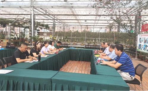 科技助殘促發(fā)展，專(zhuān)家指導(dǎo)助力農(nóng)業(yè)現(xiàn)代化——省殘疾人農(nóng)業(yè)科技指導(dǎo)中心開(kāi)展現(xiàn)代農(nóng)業(yè)科技示范園專(zhuān)家指導(dǎo)活動(dòng)